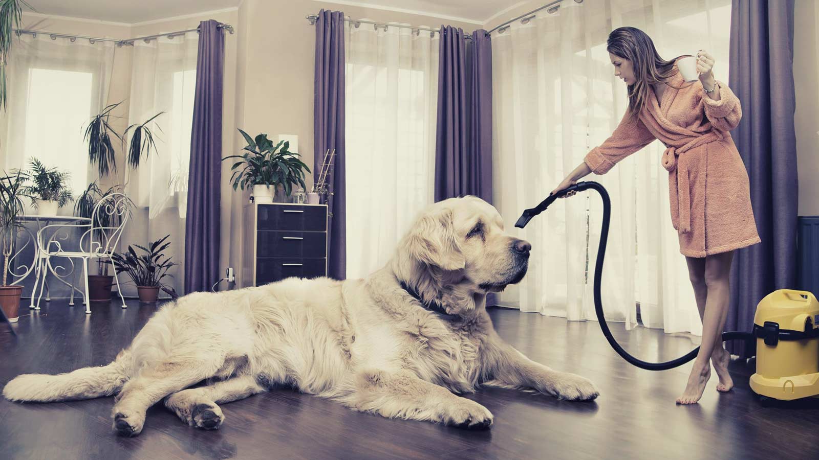 Una giovane donna fa le pulizie di casa con un grosso cane, la ricercatezza comunicativa